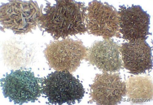 利潤行業(yè)的隱形冠軍 揭秘泡沫造粒機的商業(yè)潛力